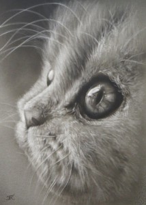 02Poes Portret 02